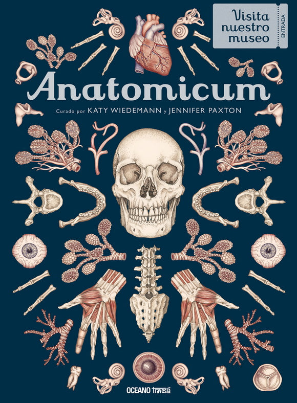 Anatomicum. Visita nuestro museo