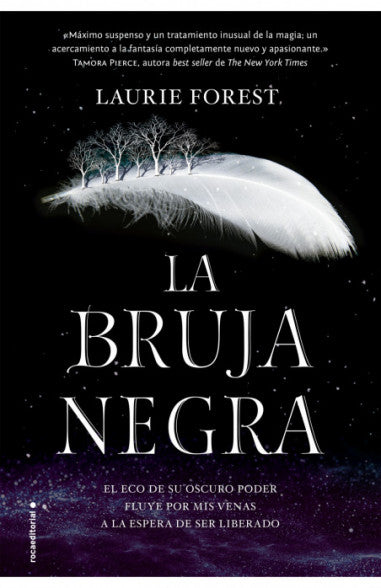 La bruja negra. (Las Crónicas de la Bruja Negra 1)
