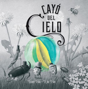 Cayó del cielo