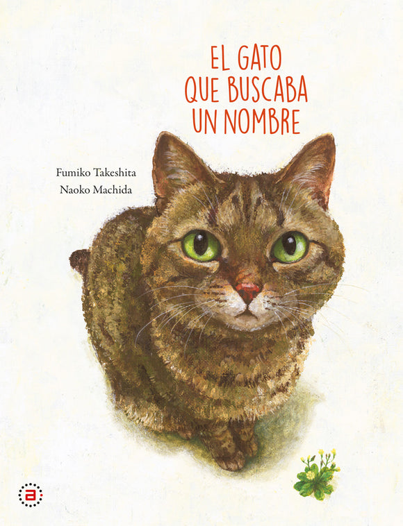 El gato que buscaba nombre